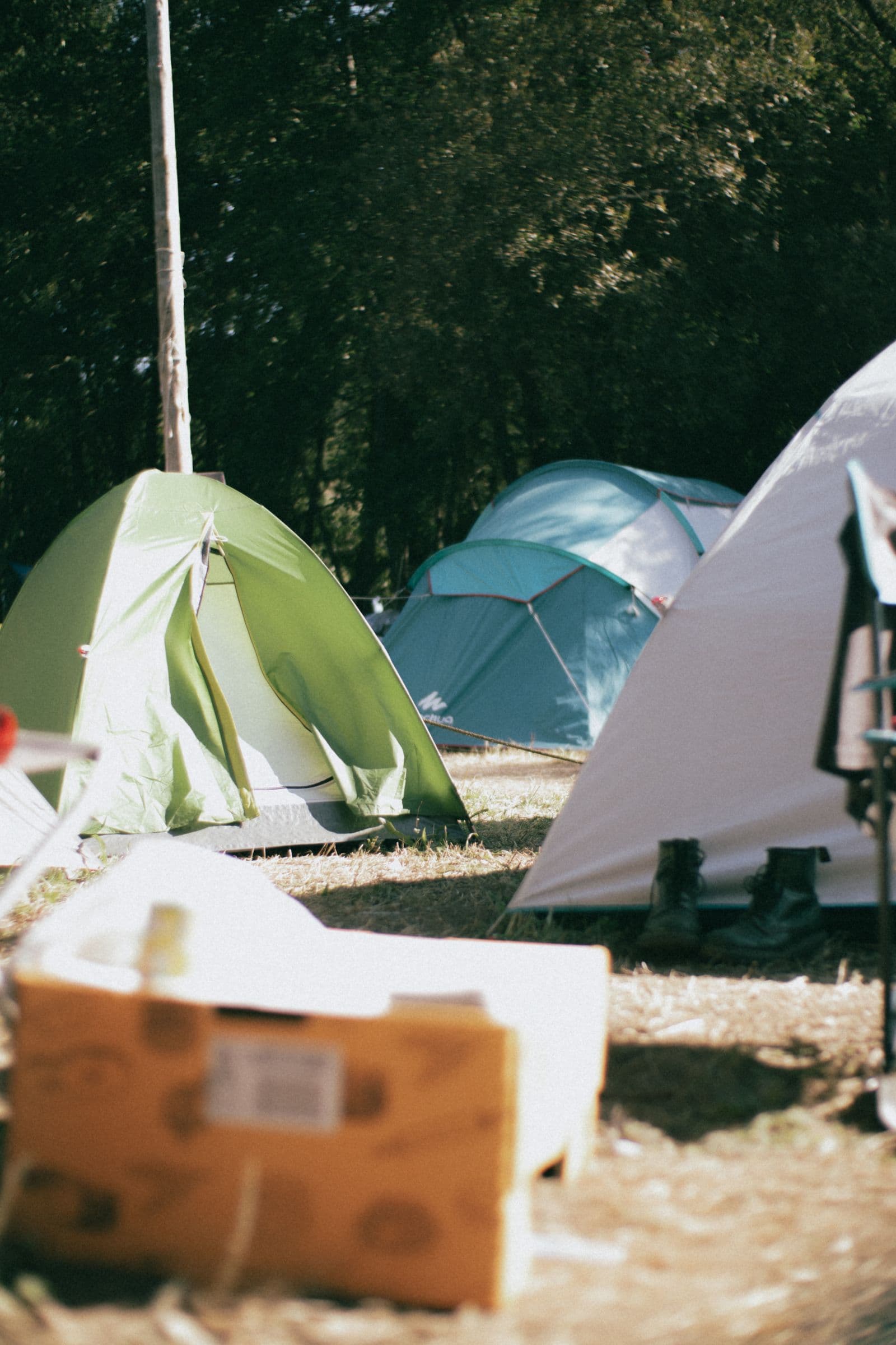 Campingplads med farverige telte under træer