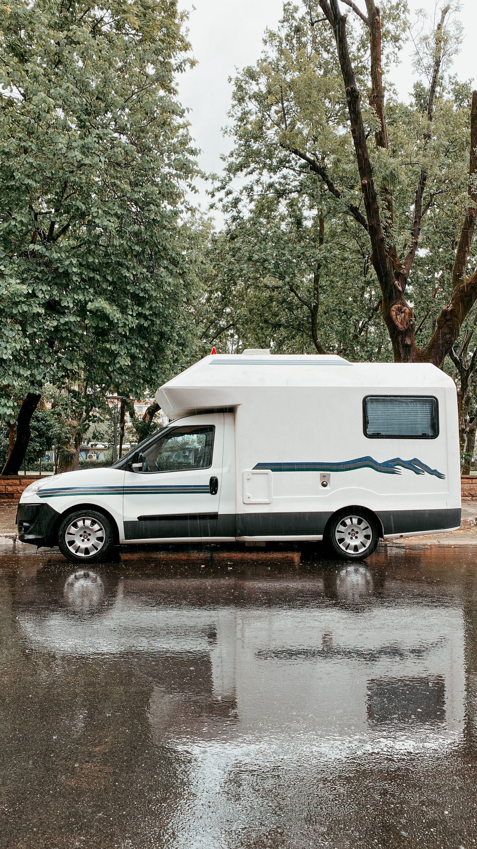 Hvid autocamper parkeret ved vejen med høje træer bagved